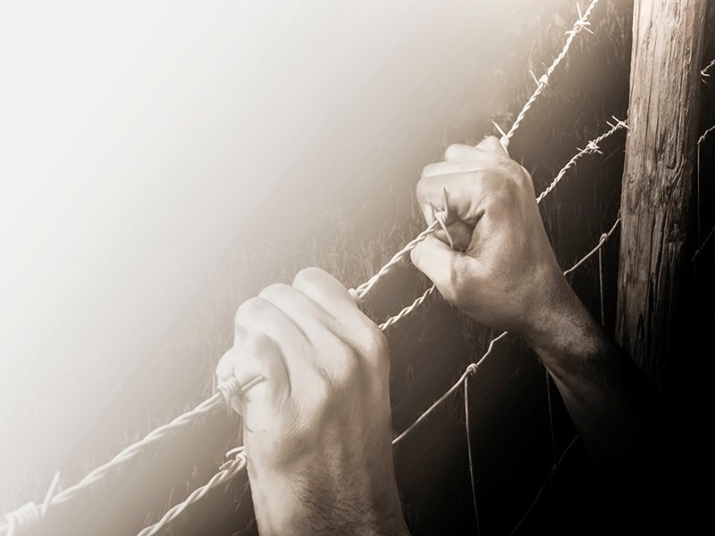 Klassikko: Piikkilankaan takertunut sielu