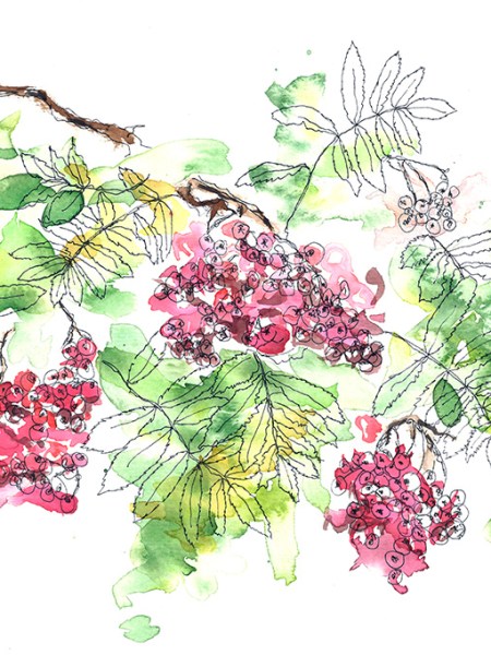 Hartaus: Pyhät pihapuut