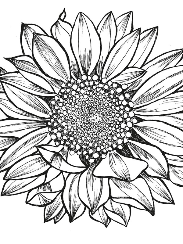 Hartaus: Toistuva syksy