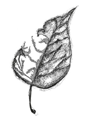 Hartaus: Vapaa pudotus