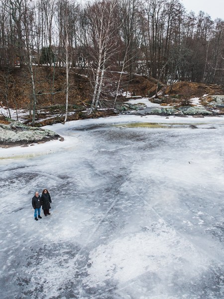 Luomakunnan puolesta sanoin ja sävelin